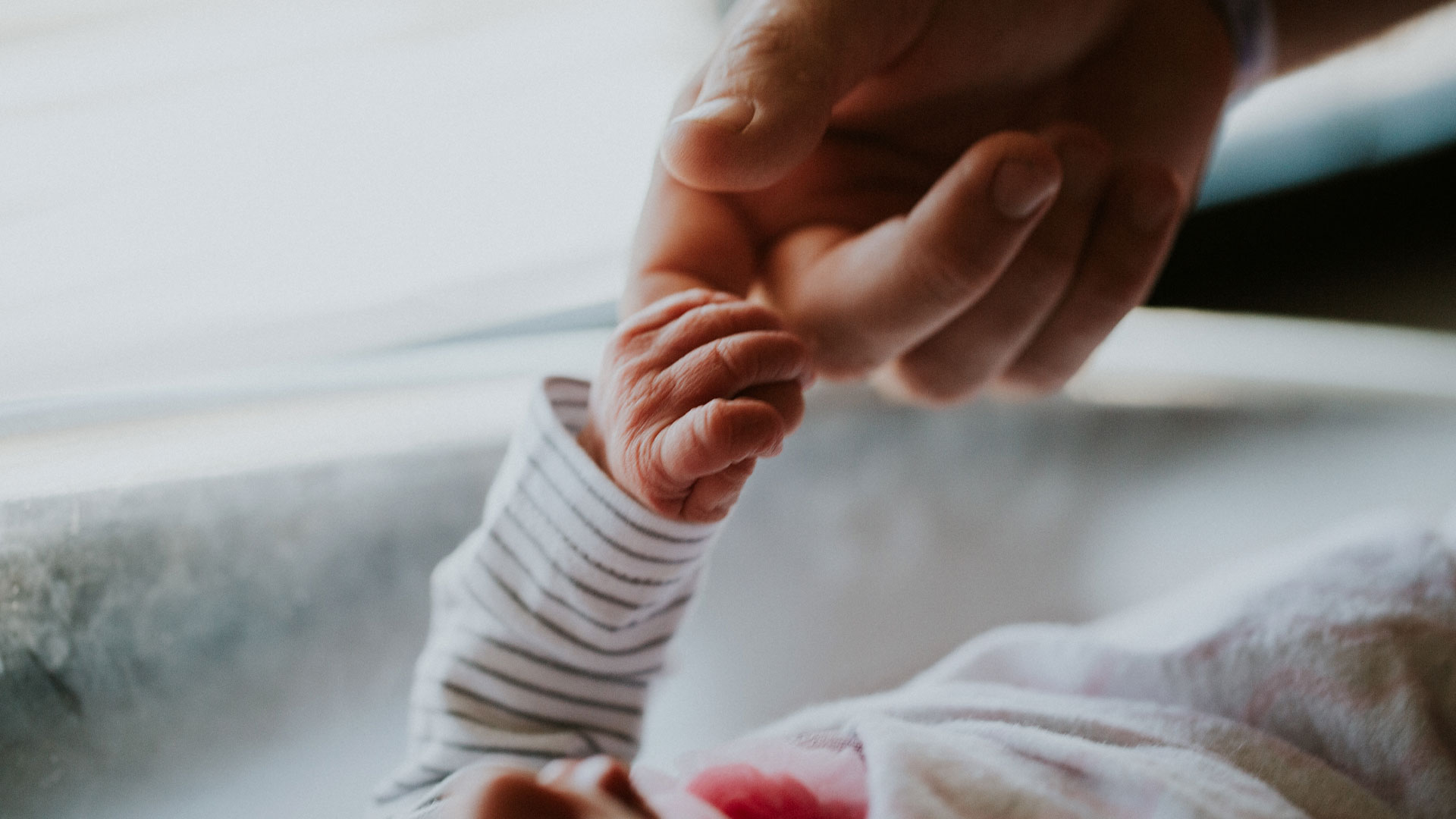 Primeira bebê monitorada em tempo real em Goiânia vence a prematuridade extrema sem sequelas